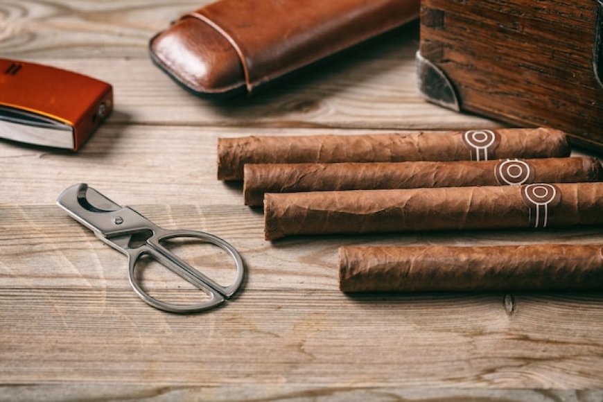 Your Ultimate Guide to Affordable Cigars and Accessories