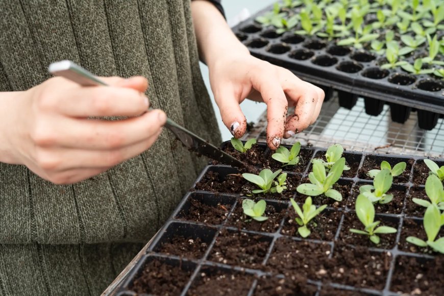 Top Vertical Gardening Systems for Urban Growers