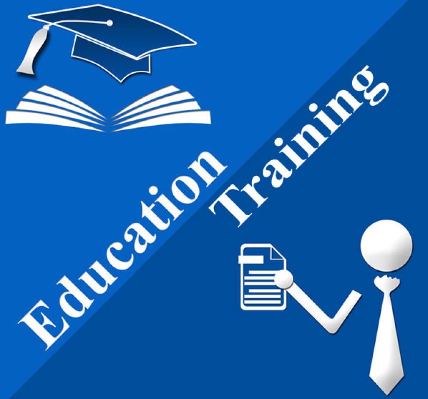 Leading Online Traffic School Courses to Enhance Your Driving Knowledge