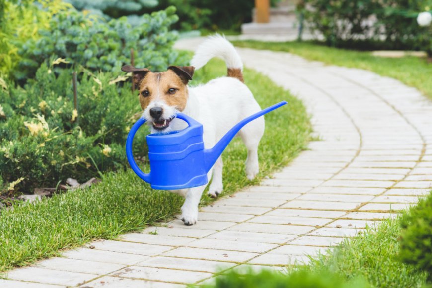 Ultimate Guide to Garden and Pet Protection Products