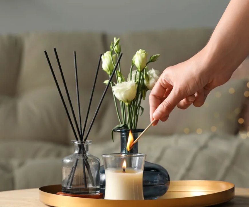 Top Picks for Premium Home Fragrances