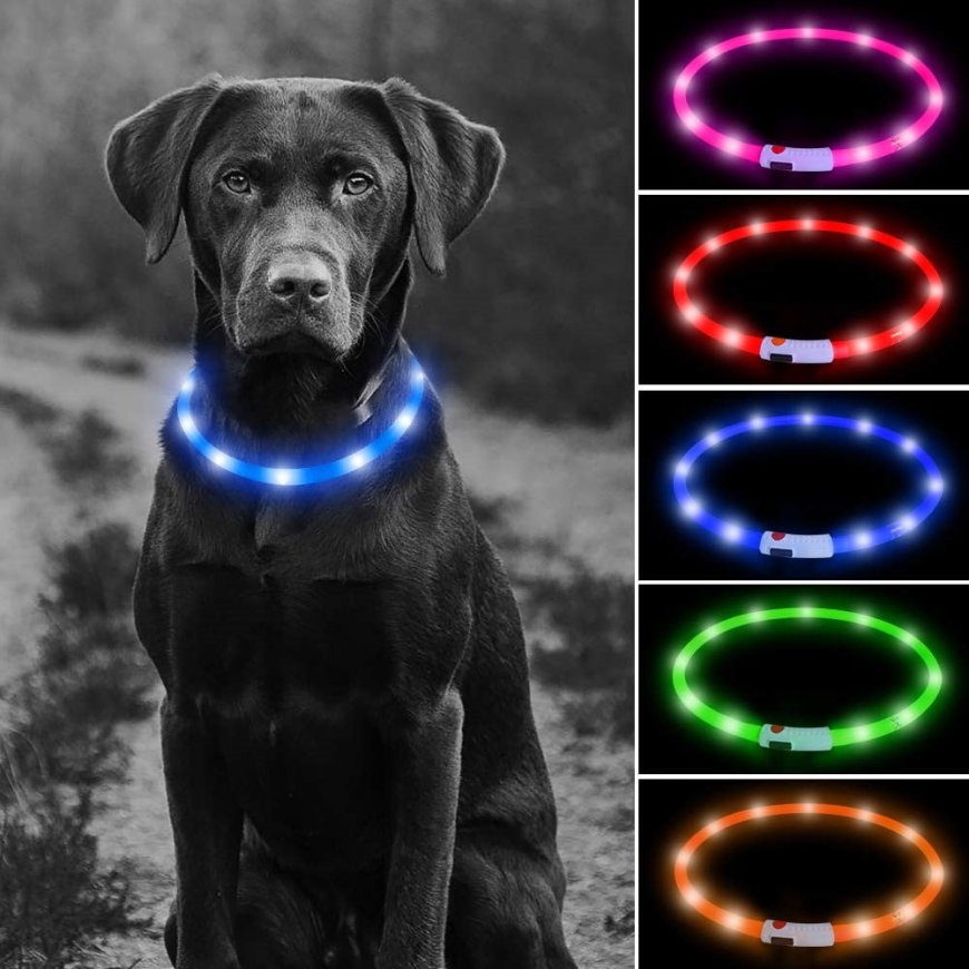 Top Glow-In-The-Dark Dog Accessories for Nighttime Safety