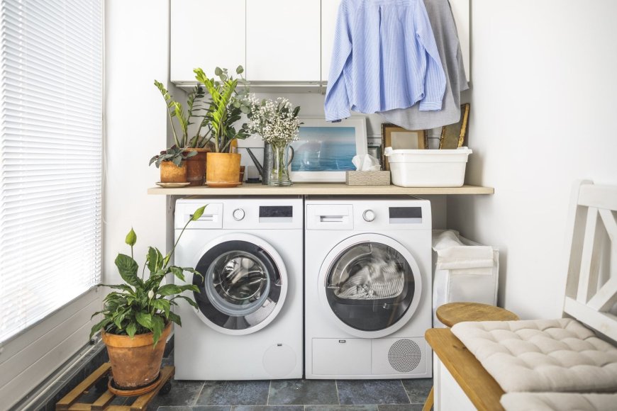 Top Eco-Friendly Laundry Solutions for a Greener Tomorrow