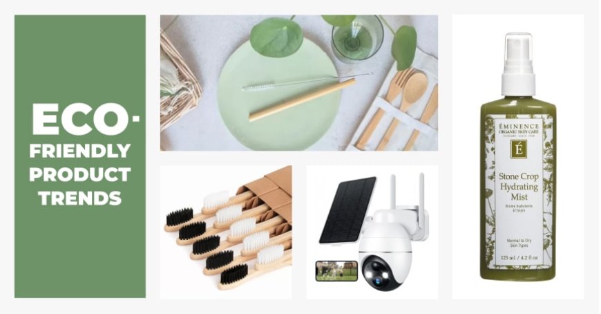 Top Sustainable Products for Eco-Conscious Consumers