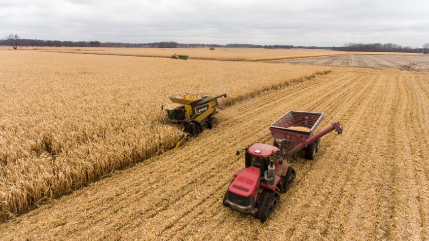 Essential Farming Gear and Apparel Every Modern Farmer Needs