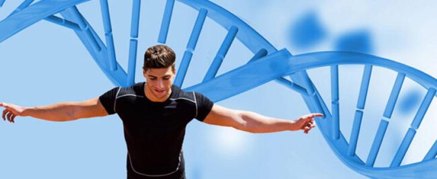 Top Personalized Health and Fitness Solutions Based on Your DNA