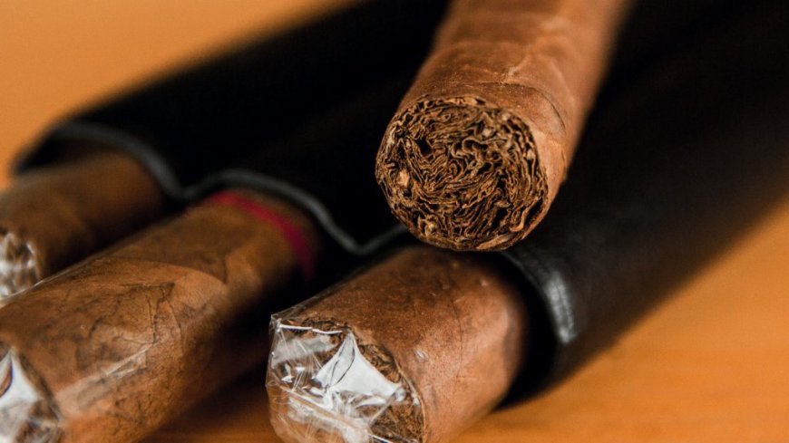 The Ultimate Guide to Top-Rated Cigars