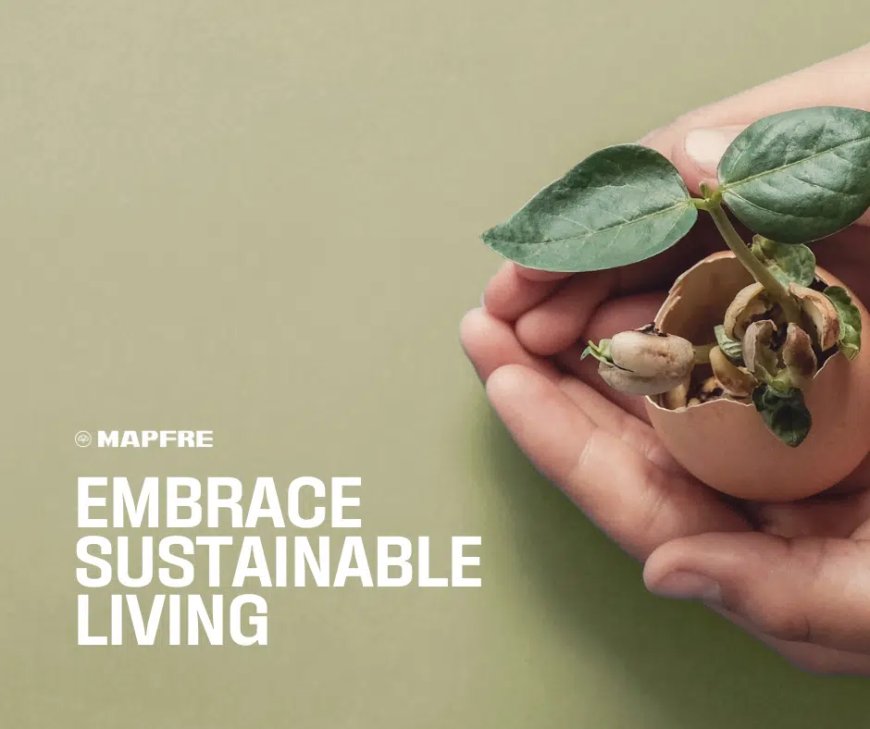 Eco-Friendly Essentials: Your Guide to Sustainable Living