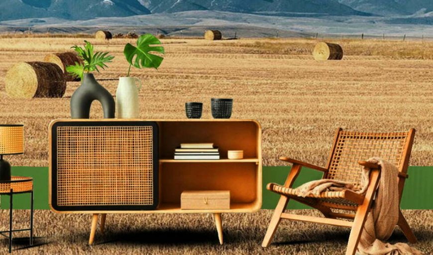 Top Picks for Sustainable and Stylish Furniture