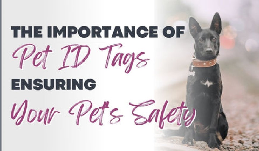 Ensuring Your Pet's Safety with Top Personalized ID Tags and Licenses