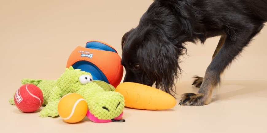 The Ultimate Guide to Durable Dog Toys for Active Pets