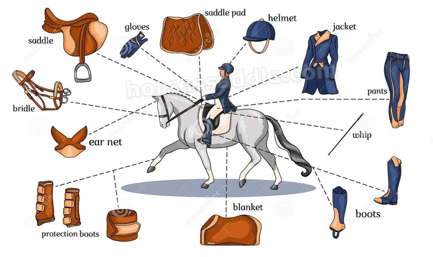 Essential Equestrian Gear for Every Rider