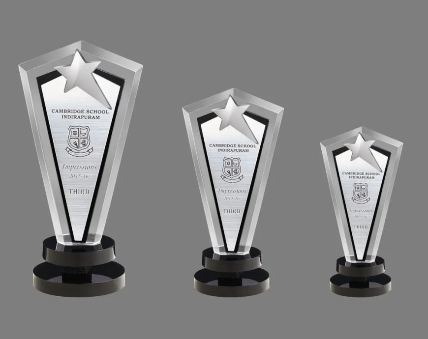 Top Awards and Trophies for Every Occasion