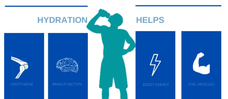 Top Hydration Solutions for Peak Performance