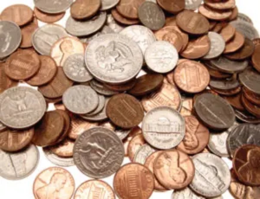 Essential Supplies for Coin Collectors