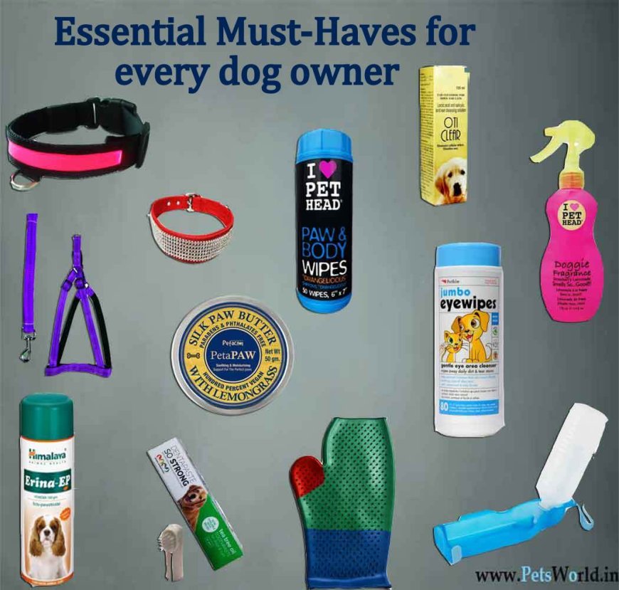 Essential Pet Accessories and Supplies Every Pet Owner Needs