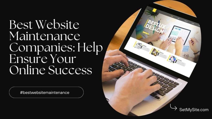 Top Web Management and Maintenance Services for 2024