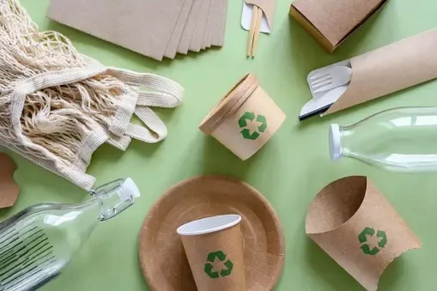 Top Eco-Friendly Products for a Greener Tomorrow