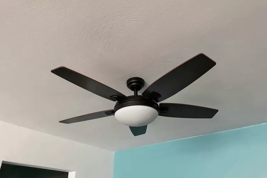 Best Ceiling Fans and Lighting Options to Upgrade Your Home